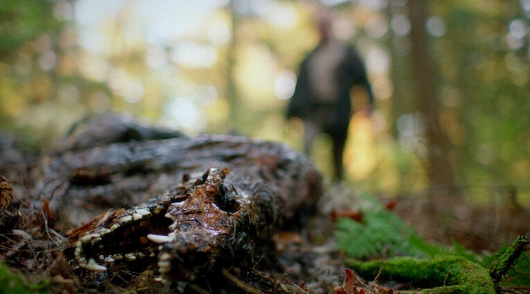 In a Violent Nature