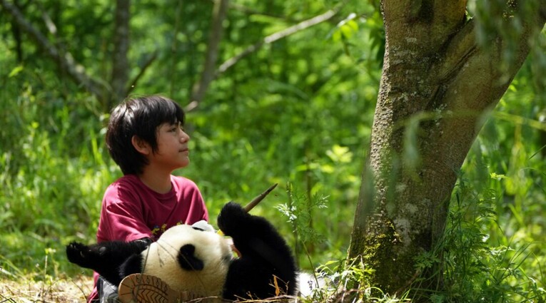 Moon the Panda