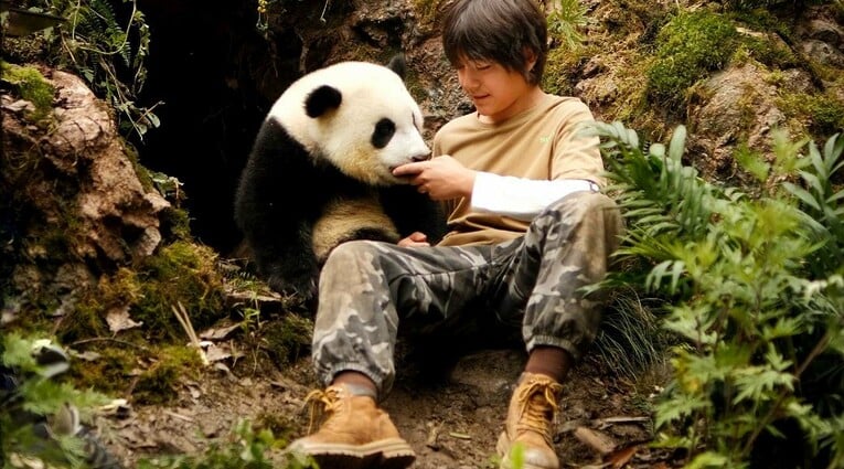 Moon the Panda