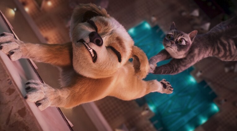 Pets to the Rescue