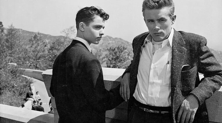 Rebel without a cause