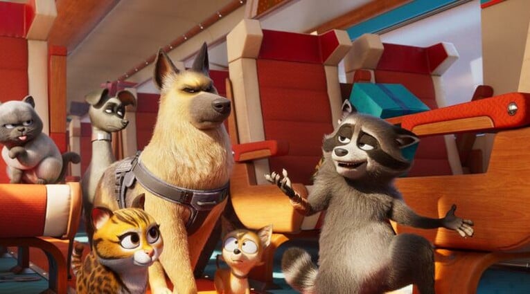 pets on a train