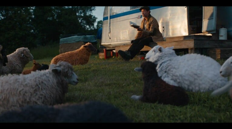 The Sheep Detectives