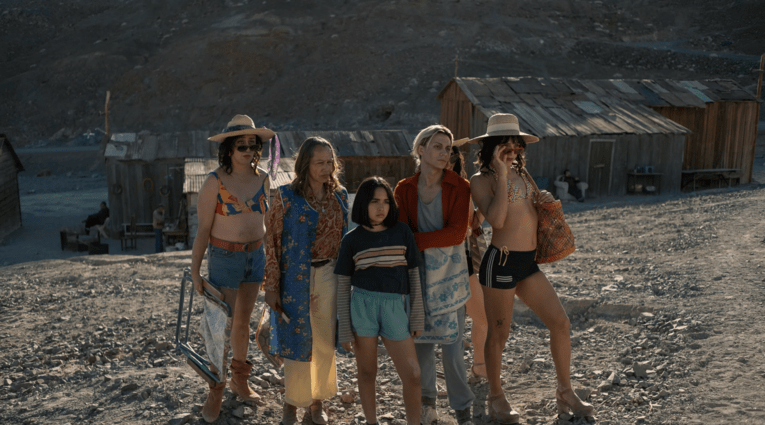 Τhe Mysterious Gaze of the Pink Flamingo