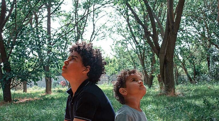 : In the Arms of the Tree