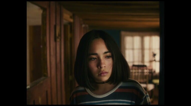 Τhe Mysterious Gaze of the Pink Flamingo