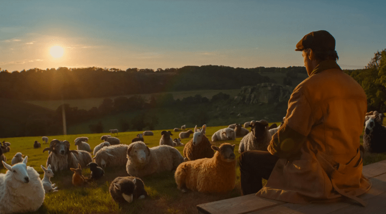 The Sheep Detectives