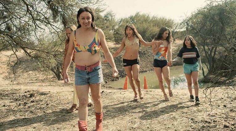 Τhe Mysterious Gaze of the Pink Flamingo