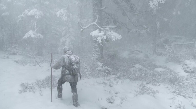 Le Chant des forêts