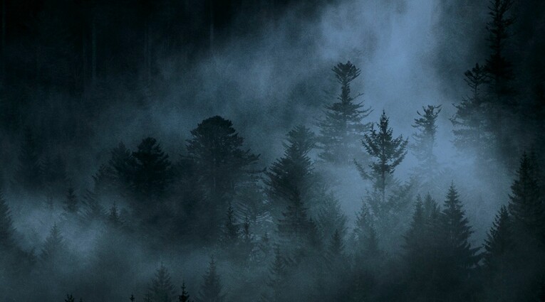 Le Chant des forêts