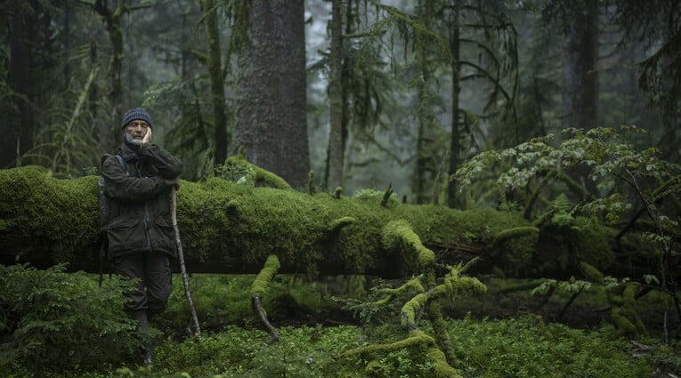 Le Chant des forêts
