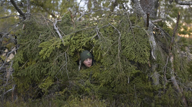 Le Chant des forêts