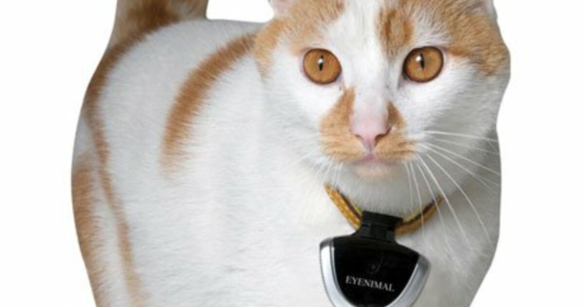 Chats With Camera