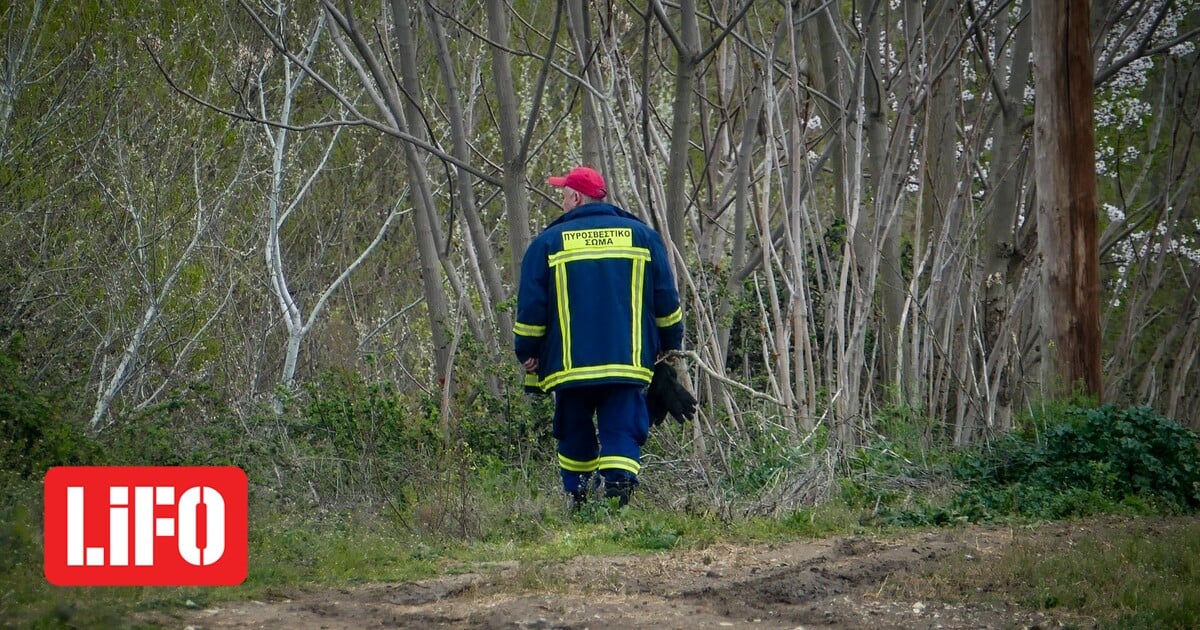 Κρήτη: Στην Εντατική Αμερικανός τουρίστας – Μετά από πτώση στο Φαράγγι της Πατσού