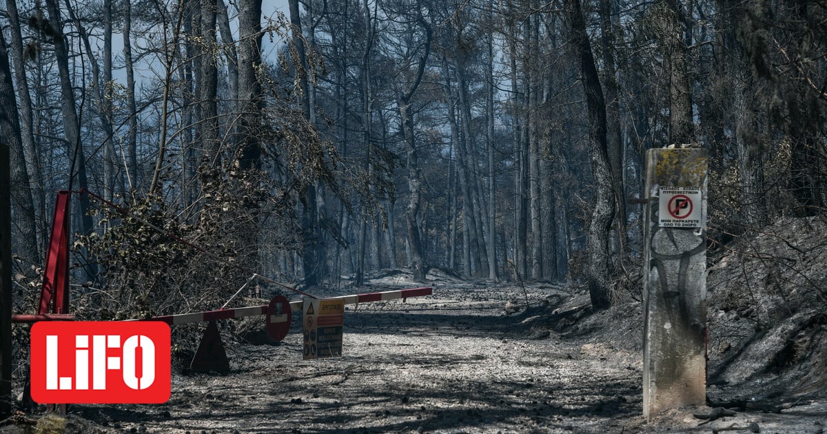 5355346_0.jpg?itok=hr8qzFBF