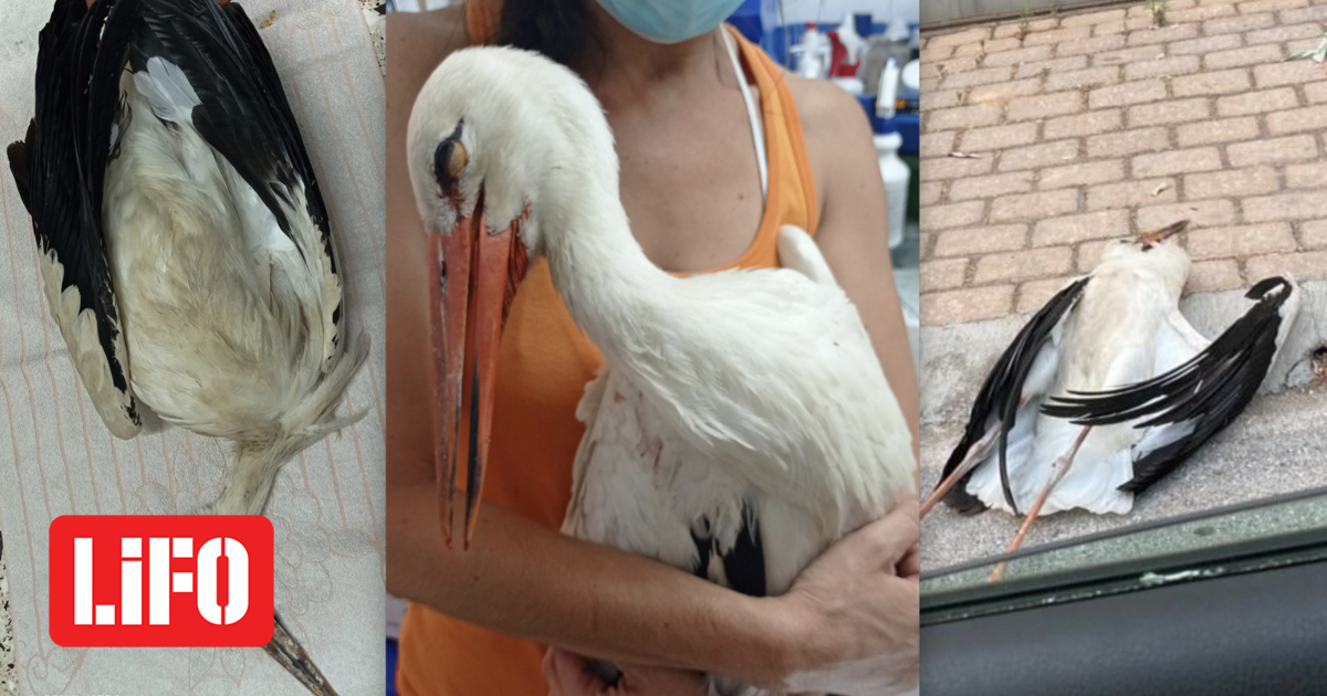 Screenshot%202021-08-08%20at%2010.29.58%