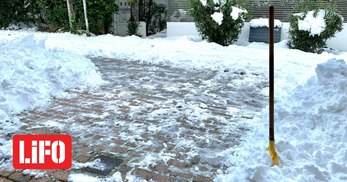 Screenshot%202022-01-25%20185010.jpg?ito