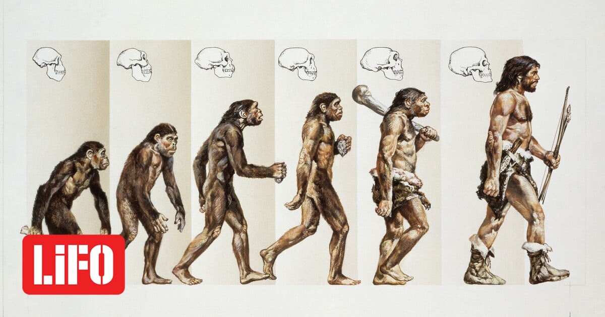 France : des découvertes vieilles de 54 000 ans remettent en cause ce que l’on savait sur les premiers Homo sapiens en Europe
