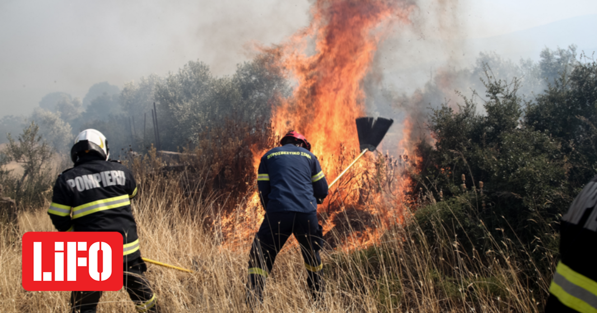Μεγάλη φωτιά στο Καματερό – Σε δασική έκταση