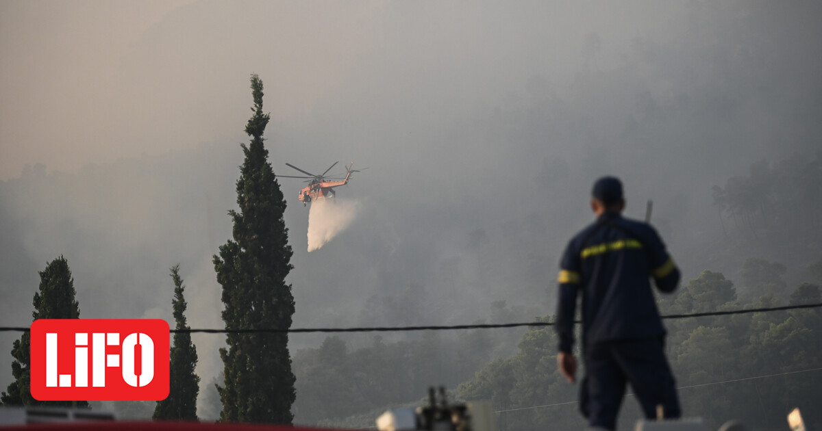 Fire in Psachna Evia – situation at the fire fronts