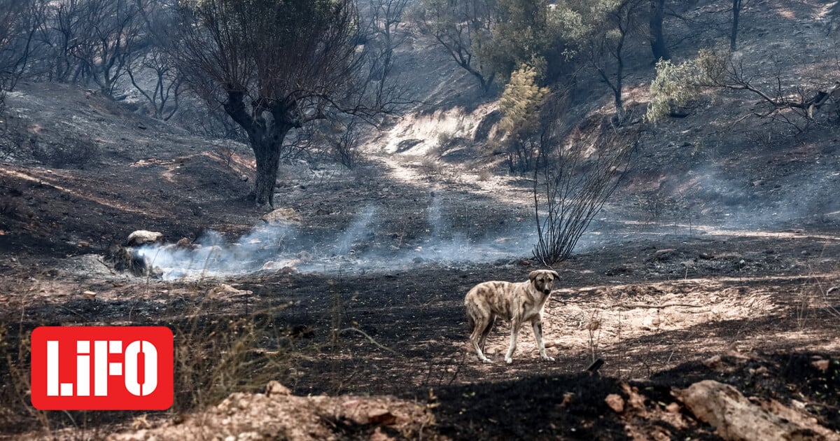 5951854.jpg?itok=zt07bRYn