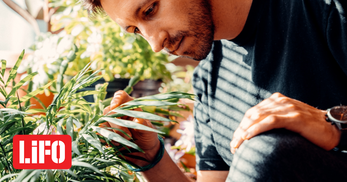 plants.png?itok=wQPRTzW3