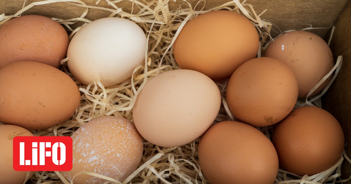 Bad Eggs : un risque public pour Paris