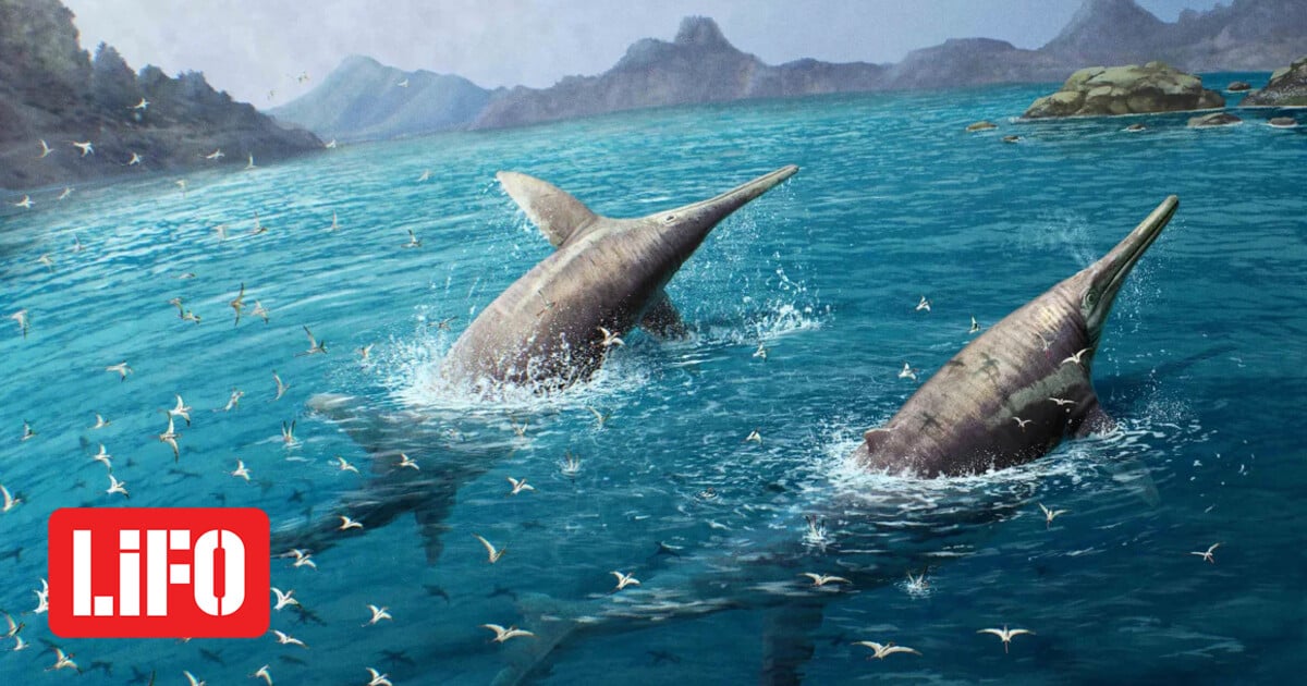 Britain: An 11-year-old boy discovered fossils of the largest marine reptile ever to exist