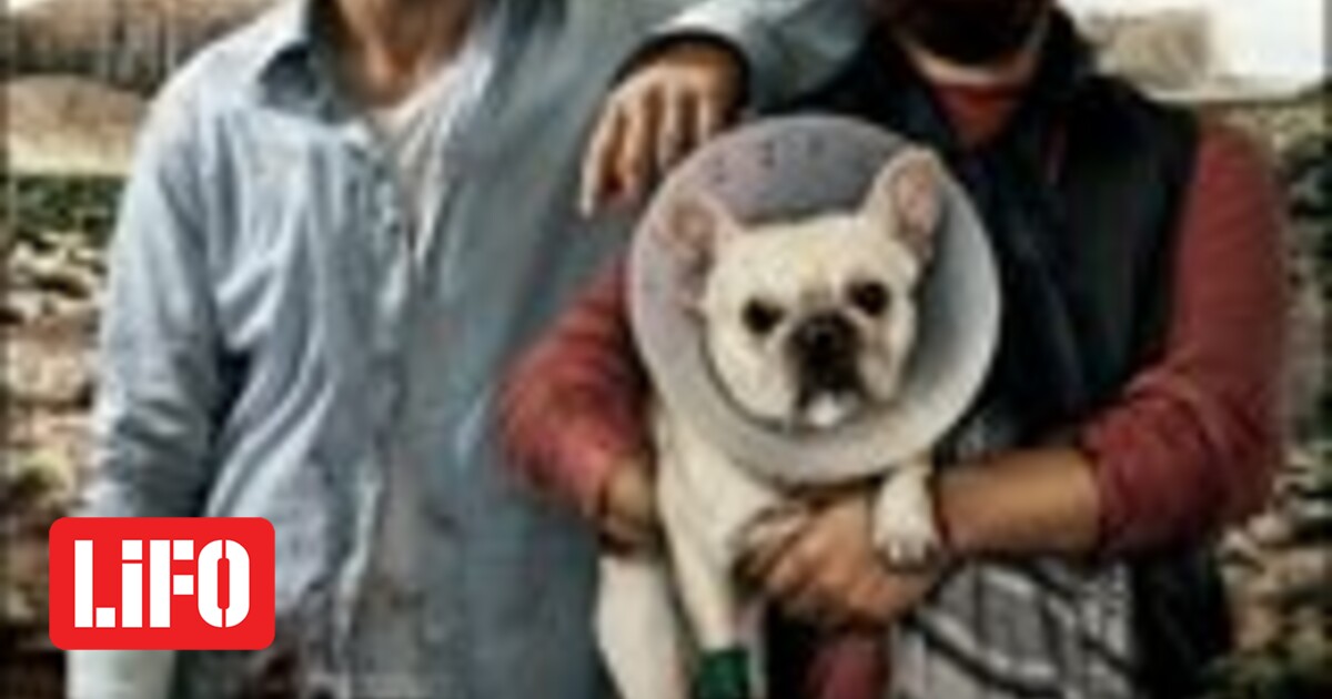 Mh Sprwxneis Erxomai Due Date Sinema Lifo