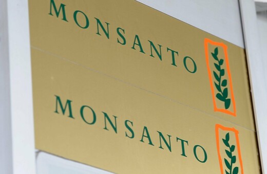 Η Monsanto παραδέχθηκε ότι χρησιμοποίησε παράνομο ζιζανιοκτόνο στη Χαβάη