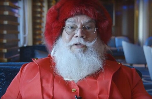Επαγγελματίας Άγιος Βασίλης