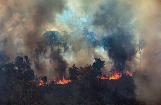 Το δάσος του Αμαζονίου έχασε 8,4 εκατομμύρια «γήπεδα ποδοσφαίρου» σε μια δεκαετία