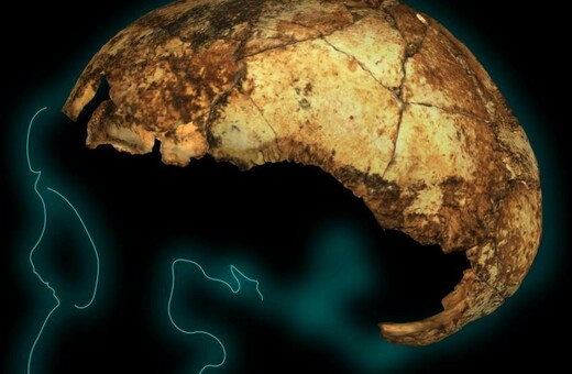 Ανακαλύφθηκε το αρχαιότερο στον κόσμο κρανίο του Homo erectus