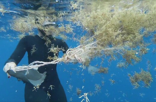Στη Μεσόγειο εντόπισαν τη μεγαλύτερη ποσότητα μικροπλαστικών που έχει ποτέ καταγραφεί σε θαλάσσιο πυθμένα