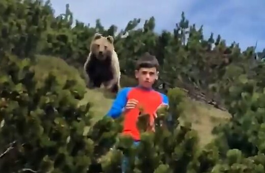 Ιταλικές Άλπεις: Η ψυχραιμία ενός 12χρονου όταν μια αρκούδα αρχίζει να τον ακολουθεί