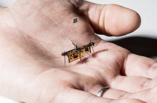 Πέταξε το Robofly, το πρώτο ασύρματο ρομποτικό έντομο