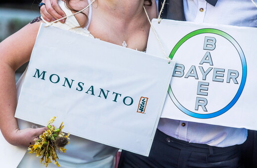 Aνακοίνωση Bayer με αφορμή την καταδίκη της Monsanto: Η γλυφοσάτη δεν είναι καρκινογόνα