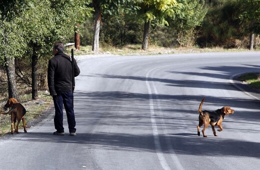 Νωρίτερα από κάθε άλλη φορά φέτος οι κυνηγετικές άδειες- Τι οδήγησε στη νέα υπουργική απόφαση