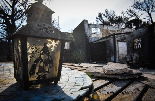 Πάνω από 3500 αυτοψίες στις πυρόπληκτες περιοχές