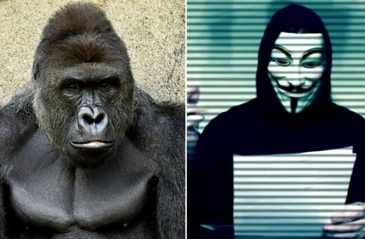 Oμάδα των Anonymous ξεκίνησε εκστρατεία για το θάνατο του γορίλα Χαράμπε