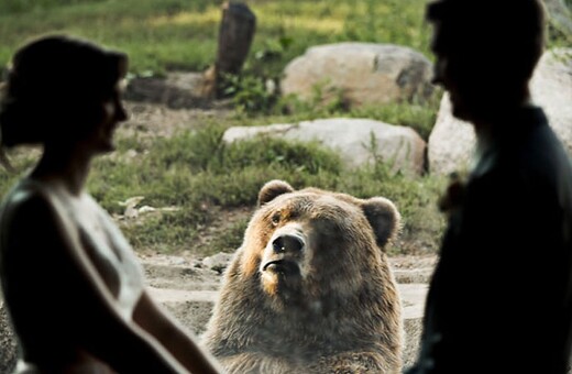 Παντρεύτηκαν σε ζωολογικό κήπο χωρίς να ρωτήσουν την αρκούδα! - Δείτε φάτσα...