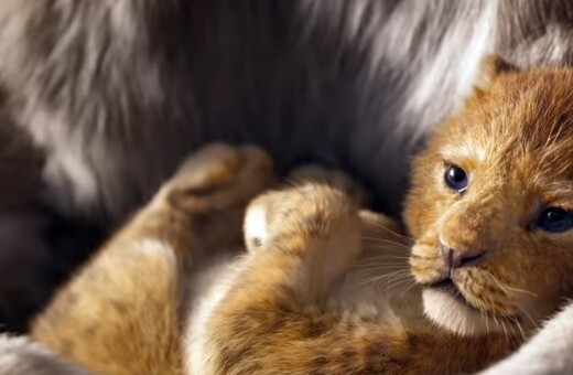 Η Disney έδωσε στη δημοσιότητα το τρέιλερ του νέου Lion King - ΒΙΝΤΕΟ