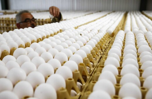Διευρύνεται το σκάνδαλο με τα μολυσμένα αυγά στην Ευρώπη