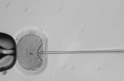 Ερευνητές στις ΗΠΑ δημιούργησαν για πρώτη φορά γενετικά τροποποιημένα ανθρώπινα έμβρυα