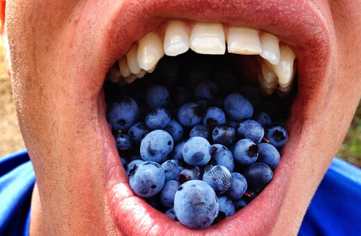 Έξι τροφές που κάνουν τα δόντια σας να κιτρινίζουν