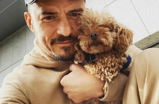 Ο Ορλάντο Μπλουμ έκανε τατουάζ τον σκύλο του που πέθανε: «Συγγνώμη. Σε ευχαριστώ. Σ' αγαπώ»