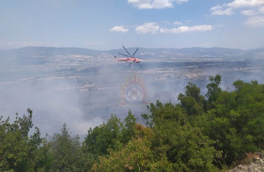 Τιθορέα: Ενισχύονται οι δυνάμεις της πυροσβεστικής - Εμπρησμό καταγγέλλουν οι κάτοικοι