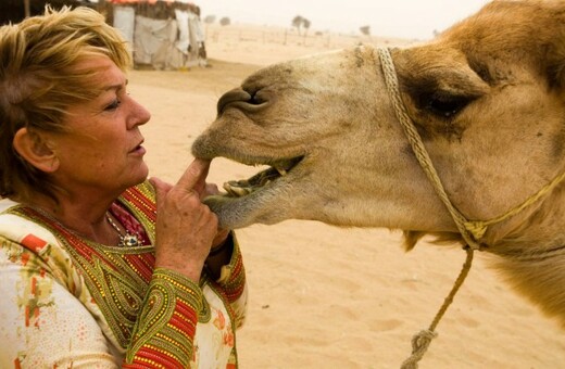 Εκτρέφοντας καμήλες στήν κάψα του Ντουμπάι