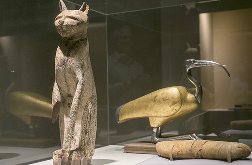 Αίγυπτος: Επιστήμονες «ξετύλιξαν» τις μούμιες τριών ζώων ηλικίας 2.000 ετών με 3D σαρώσεις - Εντυπωσιακό βίντεο