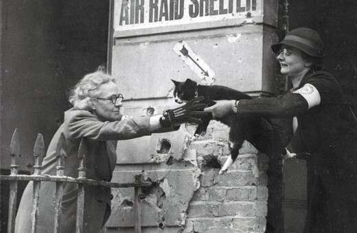 Ψυχραιμία και αποχαιρέτα τη γατούλα σου: Η μαζική ευθανασία κατοικιδίων στην Αγγλία του Β' παγκοσμίου πολέμου